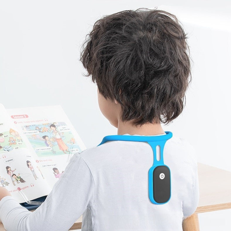 Demaxe Posture Aid